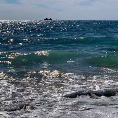 厦门：陆海一体化治理打造“高颜值”海洋生态